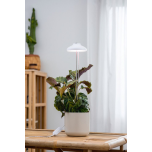 Taimevalgusti AIRAM Iris 230V 5W 240lm 3500K valge