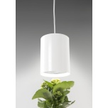 Taimevalgusti AIRAM Fiora 230V 10W E27 valge